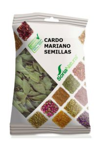 CARDO MARIANO