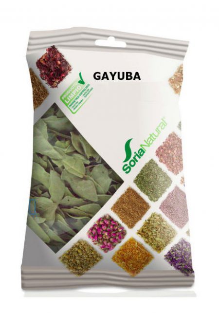 GAYUBA