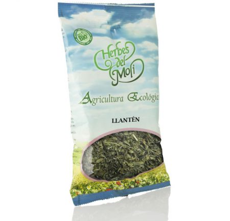 LLANTEN HOJAS ECO