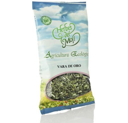 VARA DE ORO (SOLIDAGO) ECO