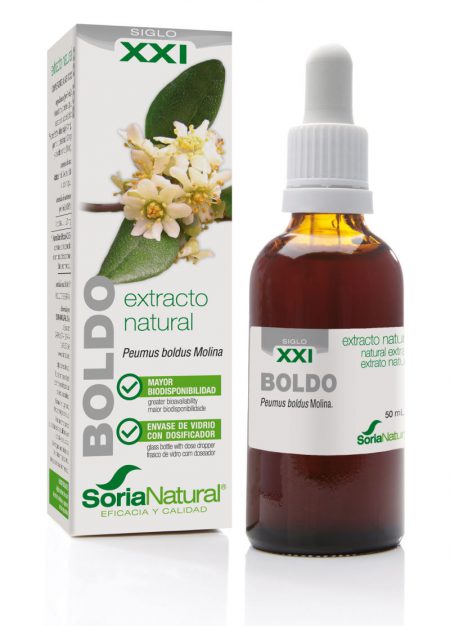 SXXI-BOLDO EXTRACTO