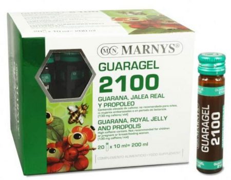 GUARAGEL 2100