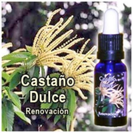 CASTAÑO DULCE TRIUNIDAD 15ML