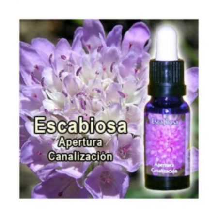 ESCABIOSA TRIUNIDAD 30ML