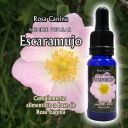 ESCARAMUJO TRIUNIDAD 15ML