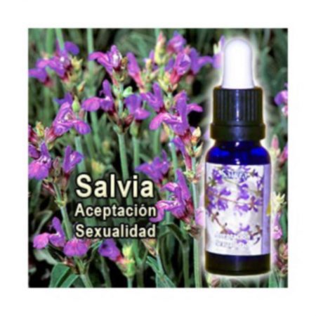 SALVIA TRIUNIDAD  15ML