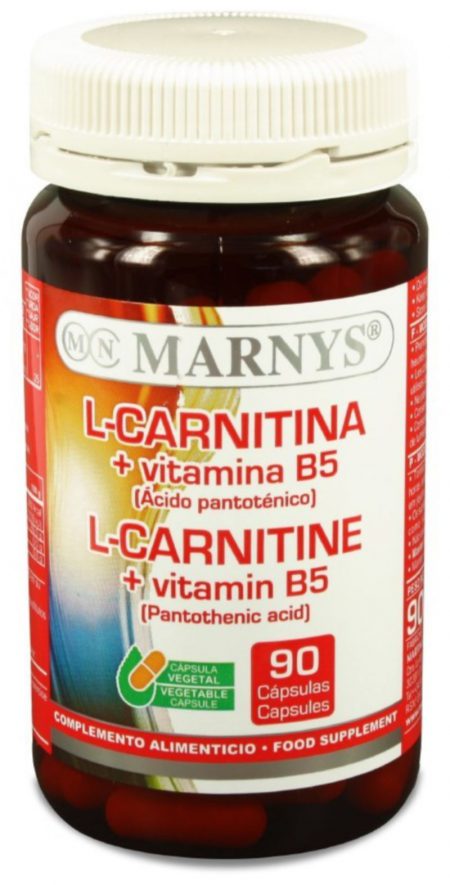 L-CARNITINA+VIT B5  MARNYS