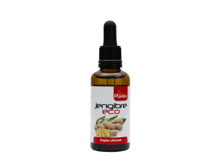 JENGIBRE PLANTIS EXTRACTO ECO