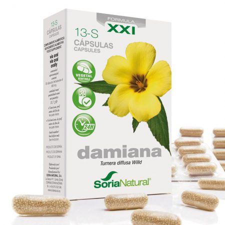 13 S DAMIANA SXXI