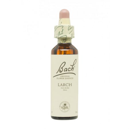 BACH 19 ALERCE-LARCH