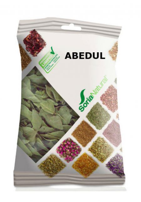 ABEDUL PLANTA